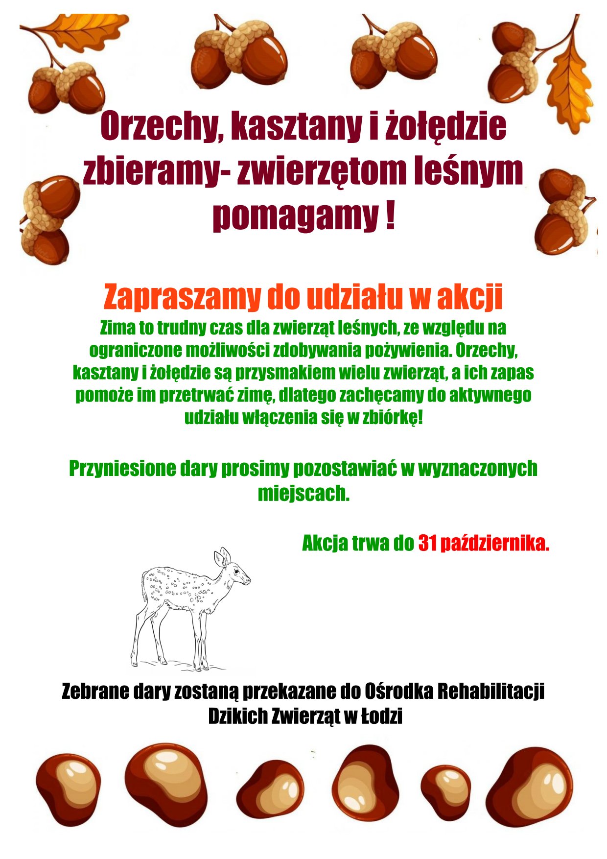 plakat zbiórki orzechów kasztanów i żołędzi dla dzikich zwierząt